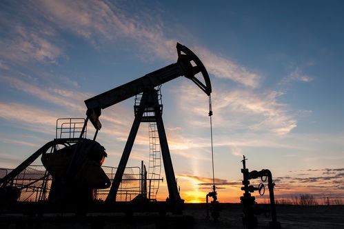 俄副總理透露歐佩克+將在12月前維持自愿減產(chǎn)，天然氣儲(chǔ)運(yùn)成能源市場(chǎng)關(guān)鍵議題